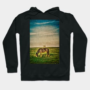 Ponies on Harlow Common Hoodie